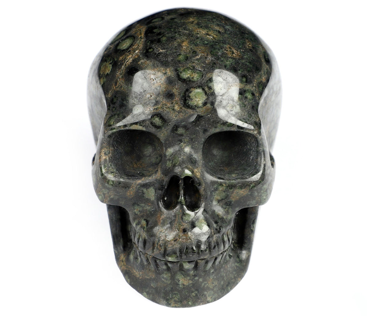 Kambaba Jasper Natural Crystal Skull 3.5&quot;