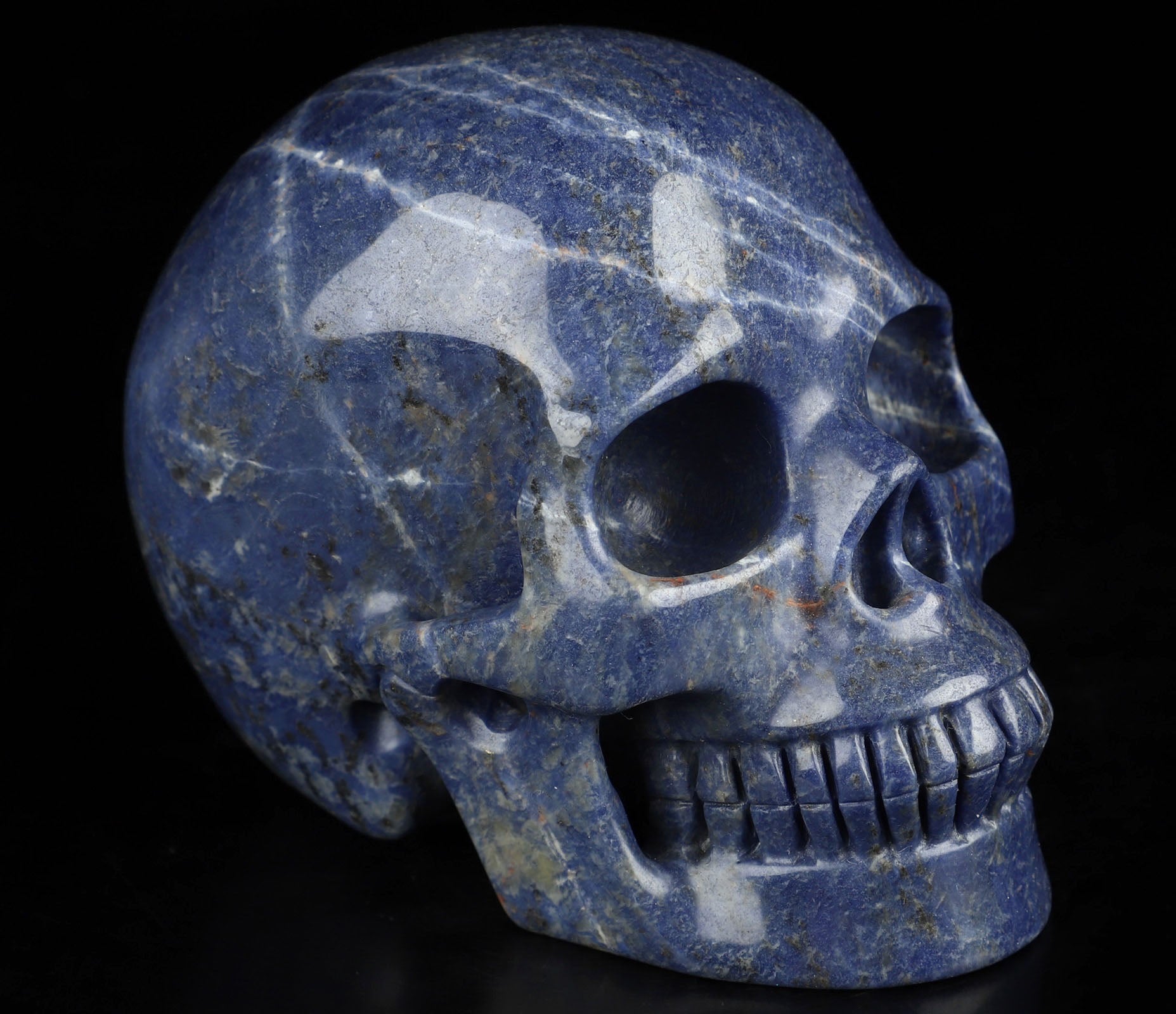 Sodalite Natural Crystal Skull Large 5.0"