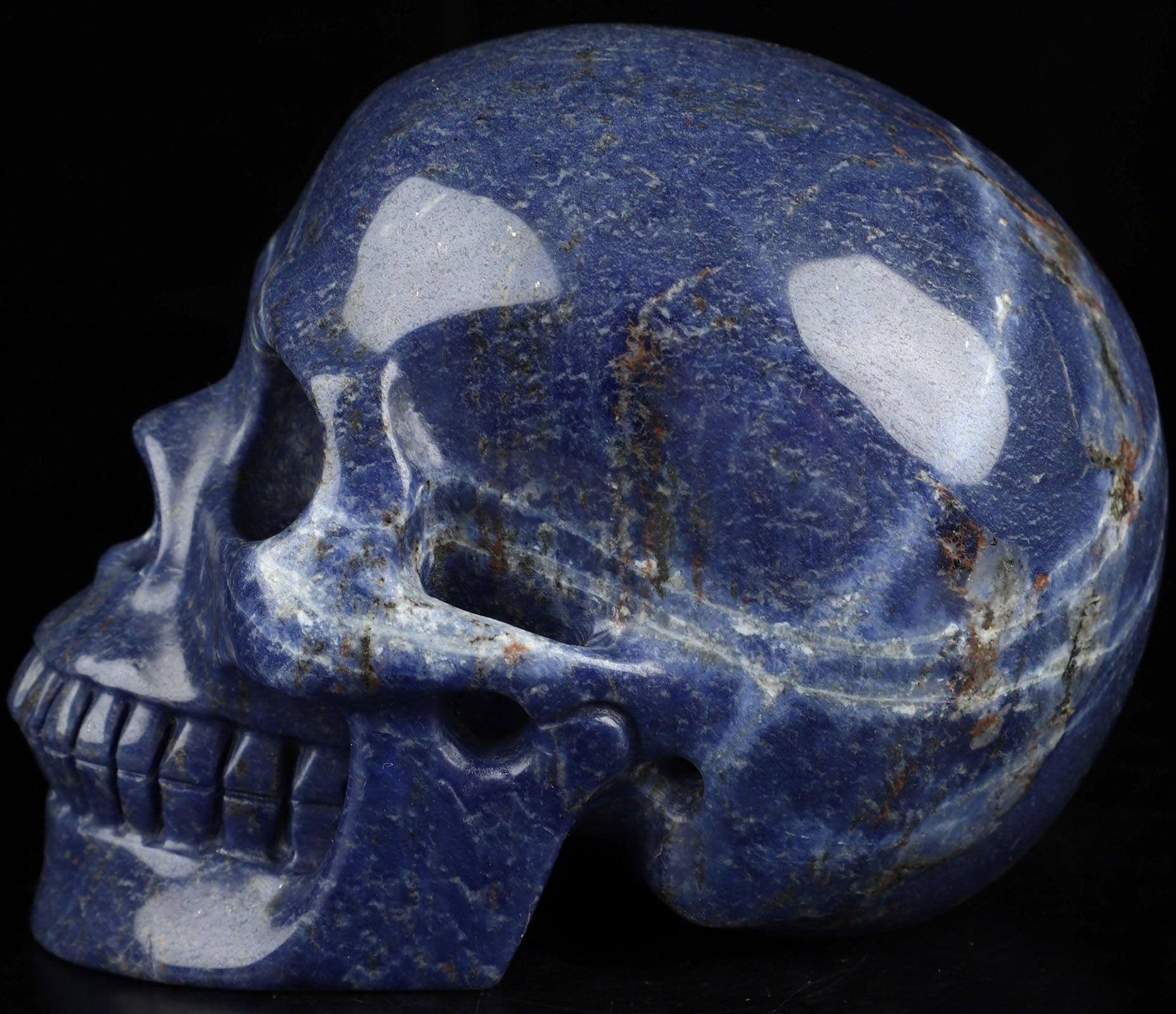 Sodalite Natural Crystal Skull Large 5.0"