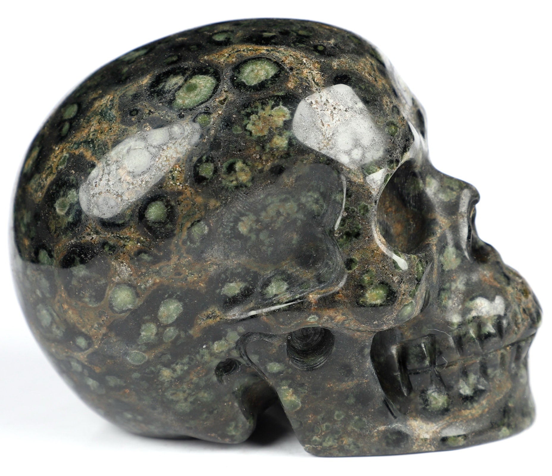 Kambaba Jasper Natural Crystal Skull 3.5"