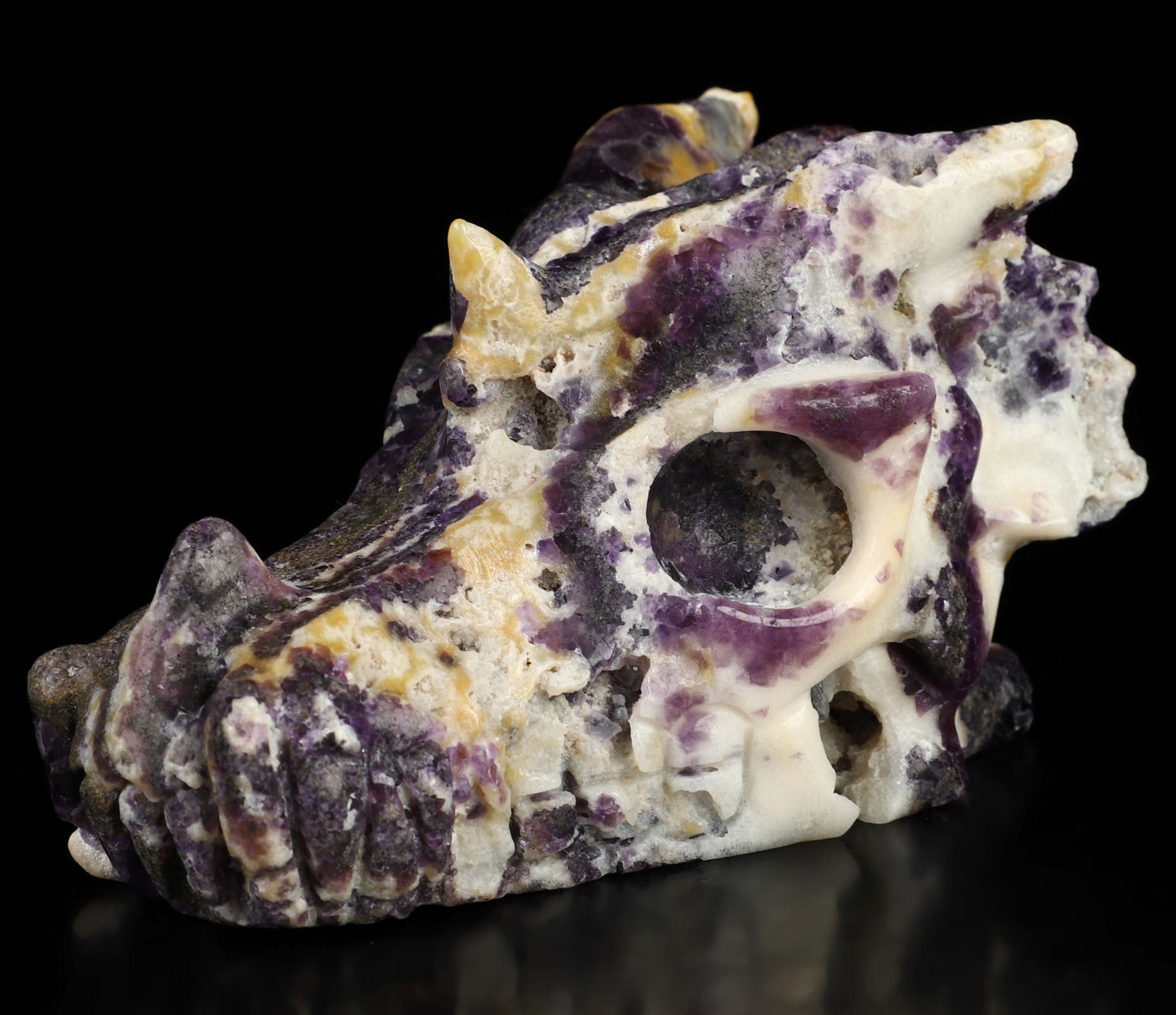 Fluorite Dragon Crystal Skull 4.9"