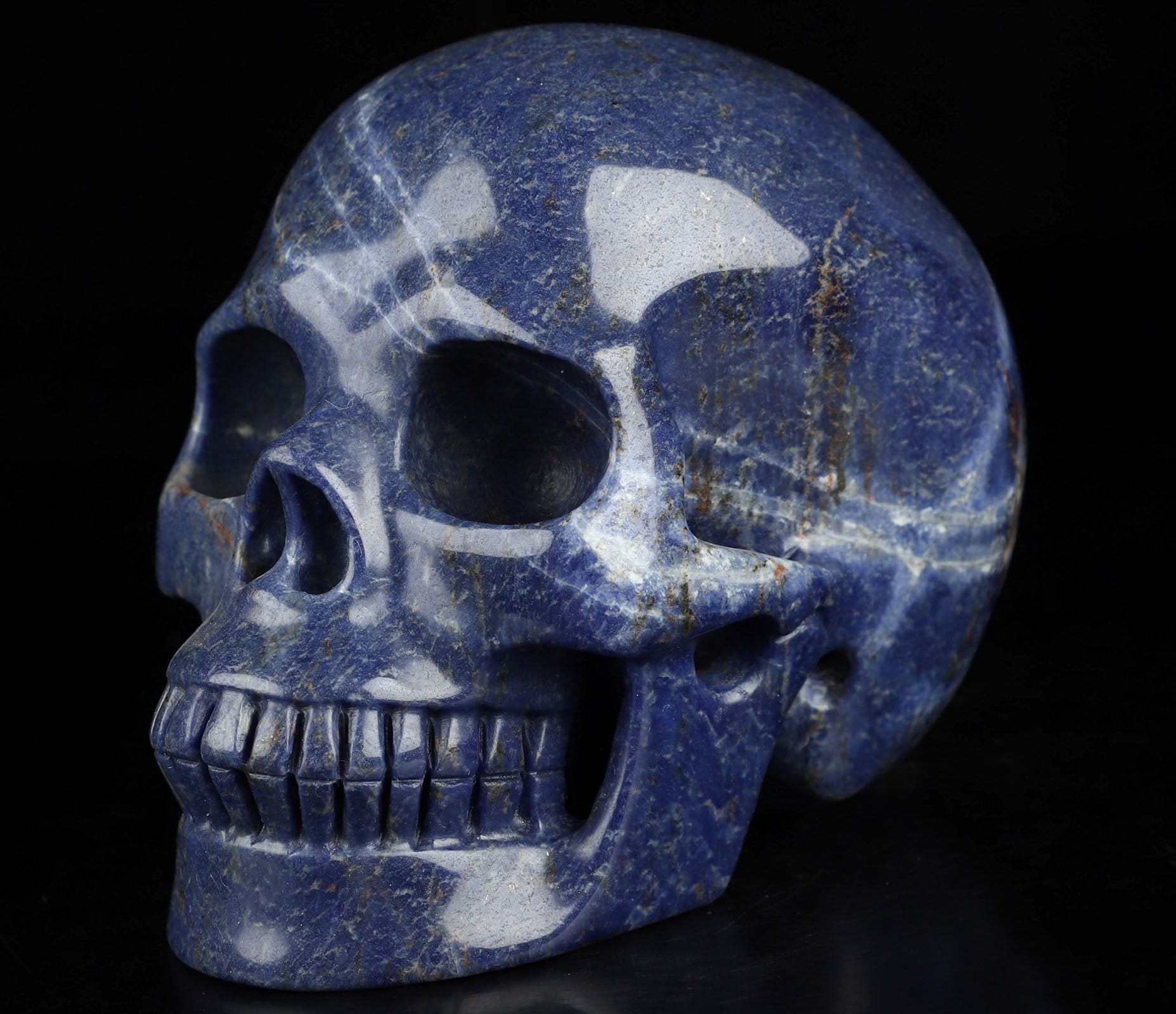 Sodalite Natural Crystal Skull Large 5.0"