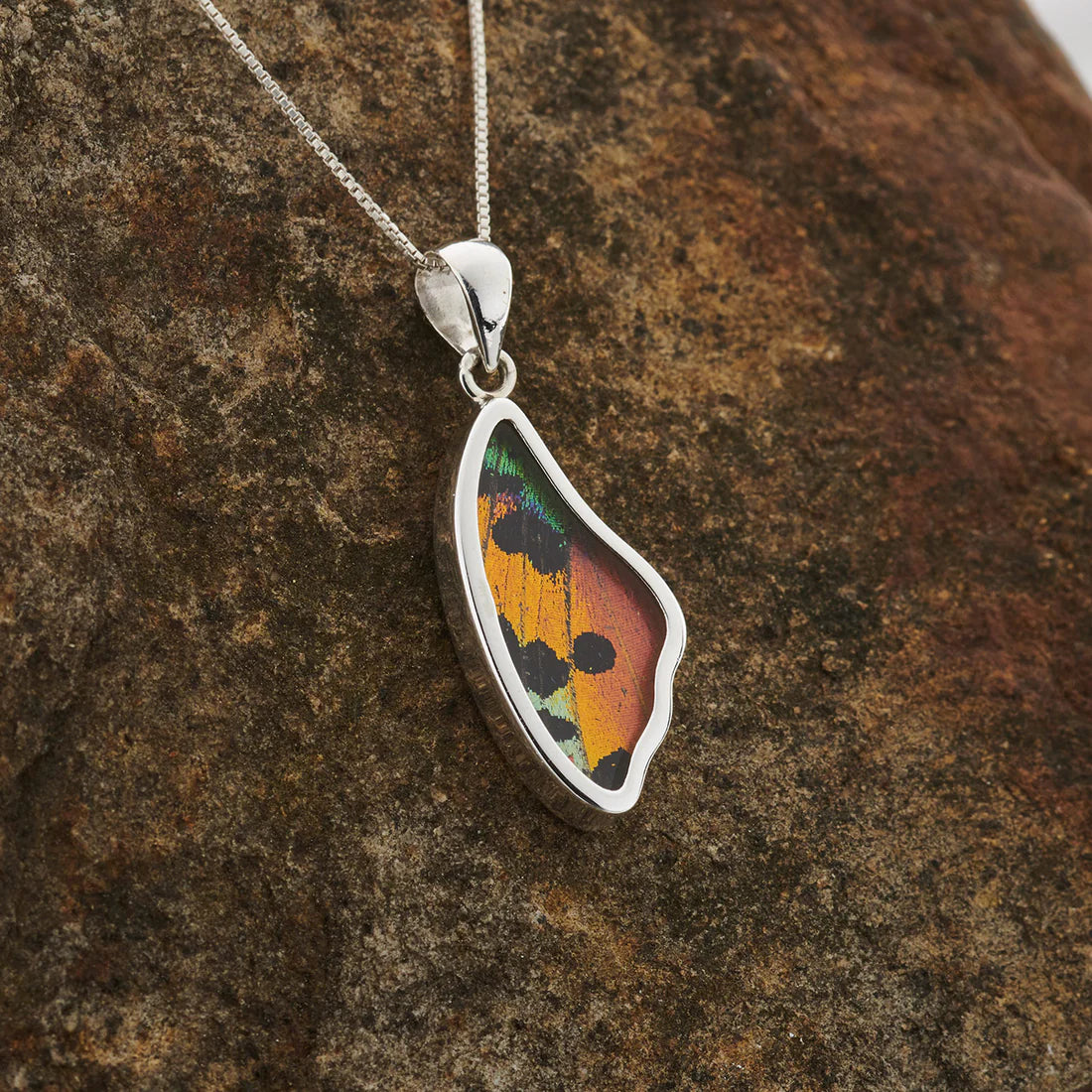 Sunset Moth Hindwing Fine Silver Pendant