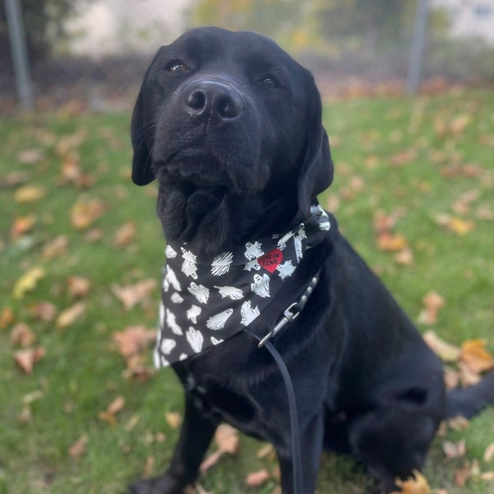 Handmade Pet Bandanas | Elastic Band Bandana | Pet Accessories