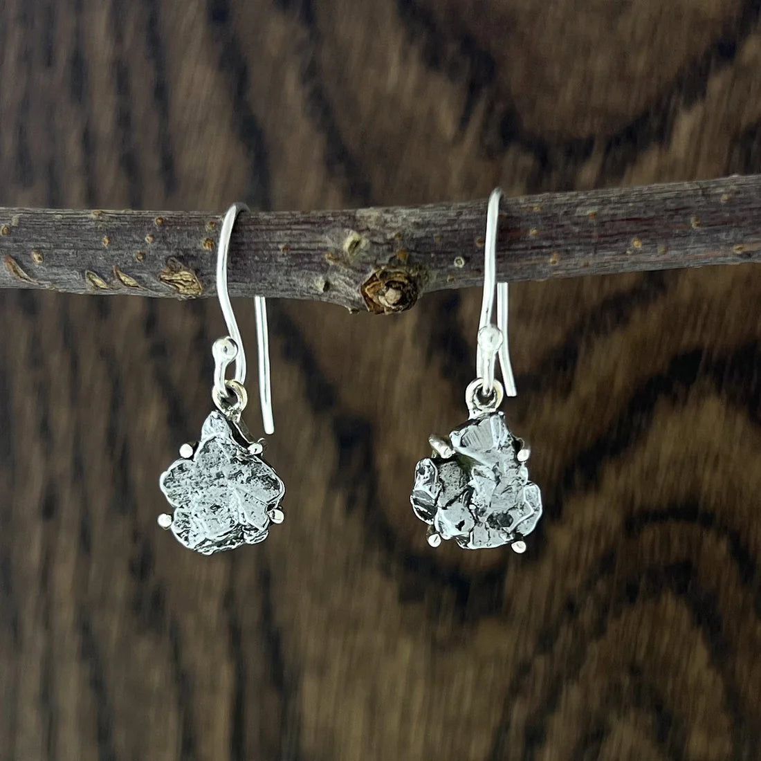 Meteorite Campo Del Cielo Sterling Silver Dangle Earrings