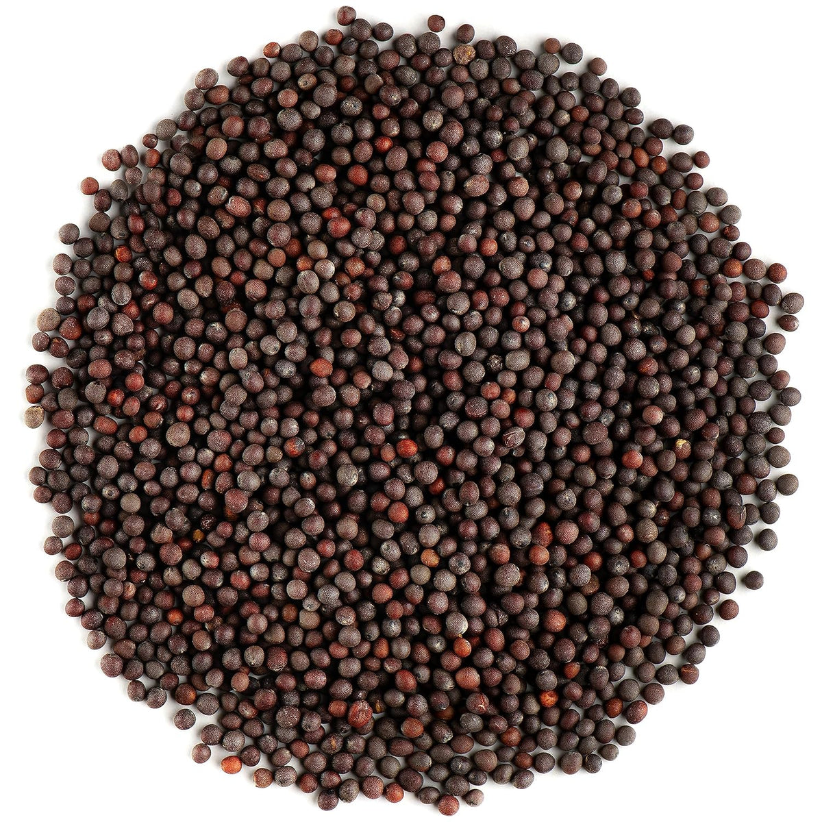 Brown Mustard Seed Whole 1oz