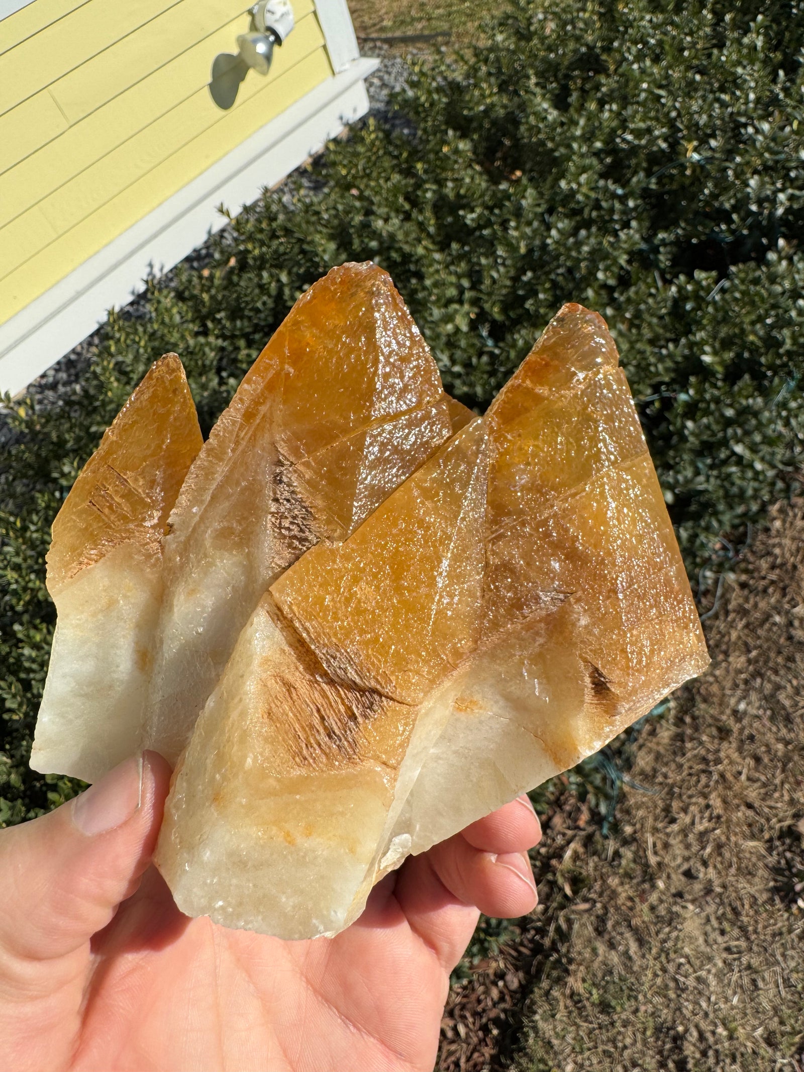 Stellar Beam Calcite Cluster with Phantom Inclusions