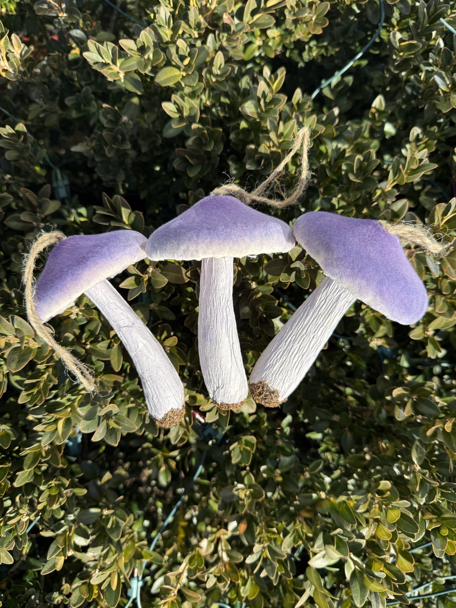 Purple Mushroom Ornament - 5"