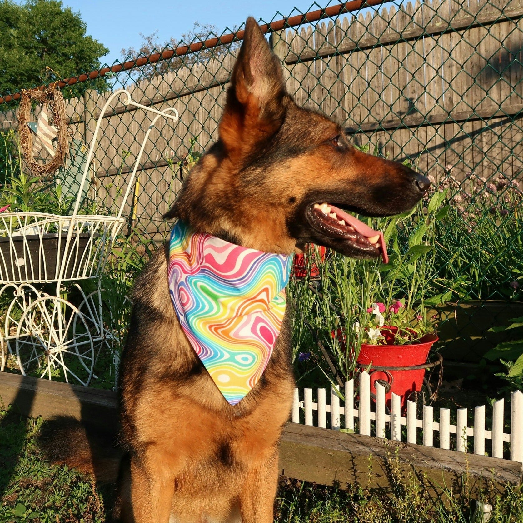 Handmade Pet Bandanas | Elastic Band Bandana | Pet Accessories