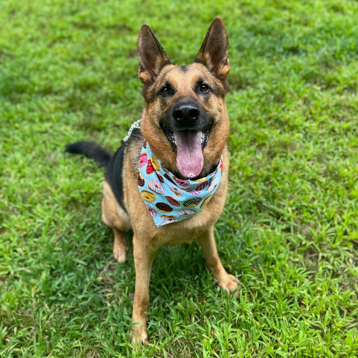 Handmade Pet Bandanas | Elastic Band Bandana | Pet Accessories