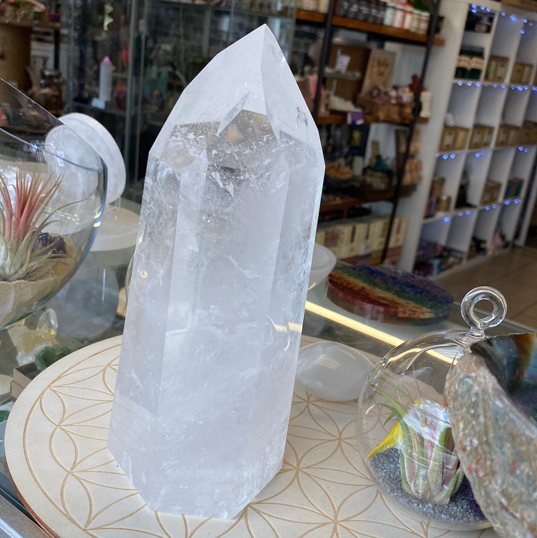 Quartz store Stone Large