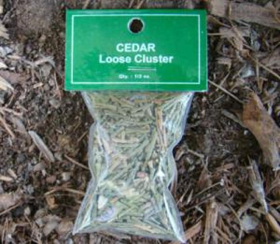 Cedar Loose Cluster 1/2 oz